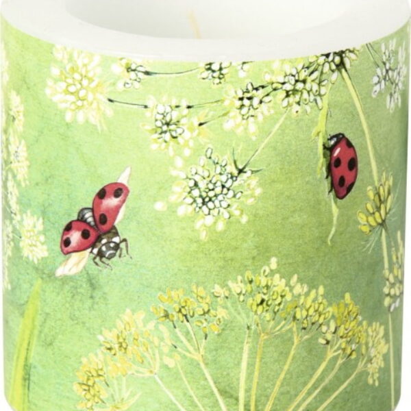 Blockljus Nyckelpigor