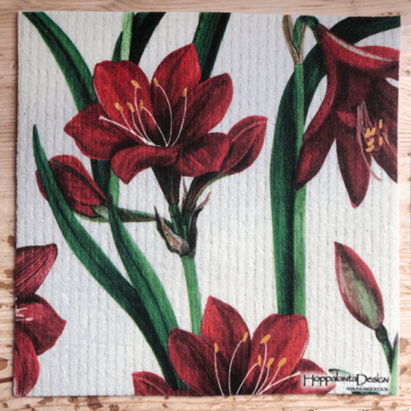 Amaryllis, disktrasa