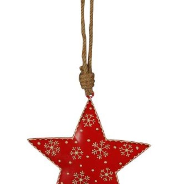 Stjärna med snöflingor