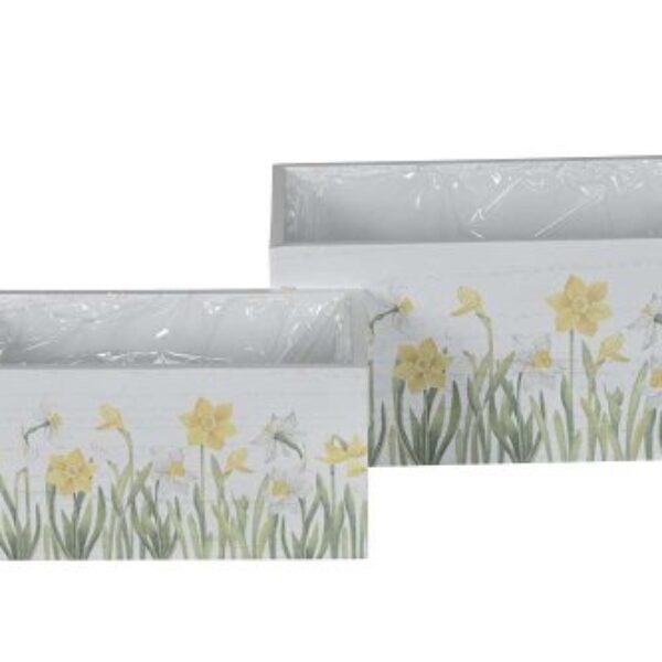 Blomlåda med påskliljor